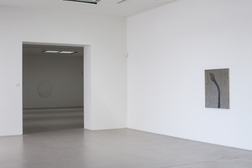 Sebastian Dacey