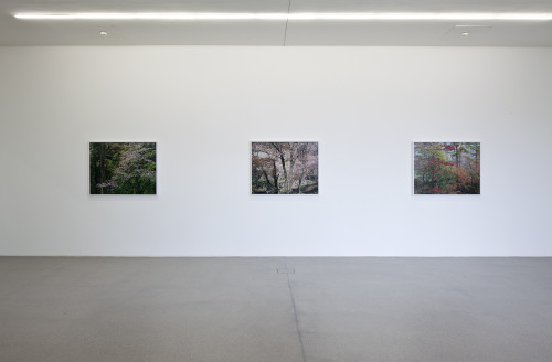 Cuny Janssen