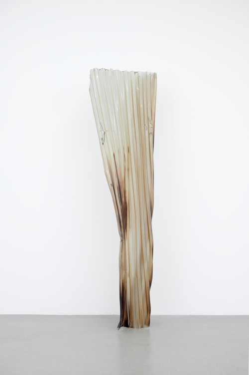 Birgit Werres